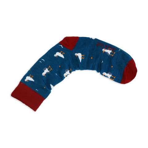 An image of a Teal Seagull calf length sock by Doris & Dude