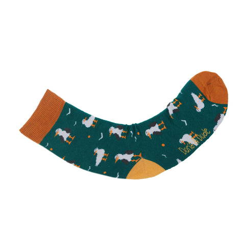 An image of a Green Seagull  calf length sock by Doris & Dude