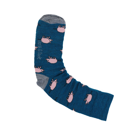 An image of a Teal Pigs  knee length sock by Doris & Dude